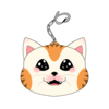 Cat Charm
